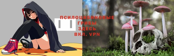 mdma Бронницы