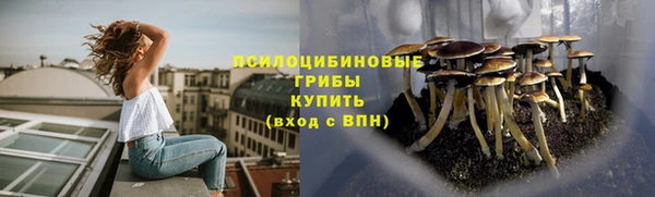 спиды Волосово