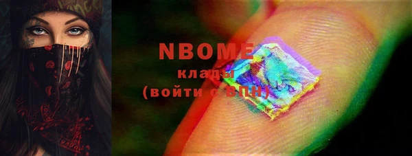 индика Володарск