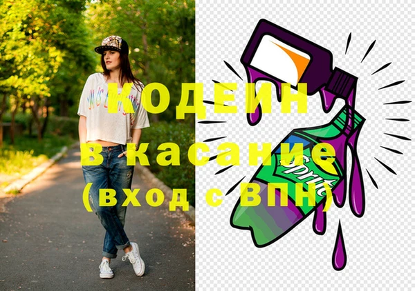 индика Володарск