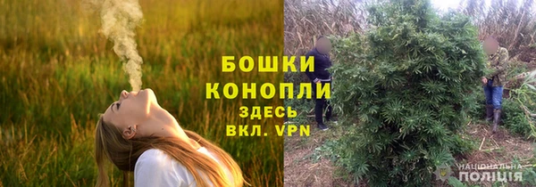 спиды Волосово