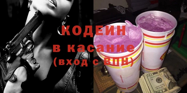 индика Володарск