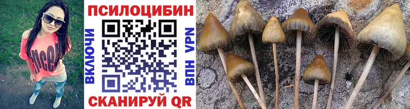 Псилоцибиновые грибы мухоморы Вичуга